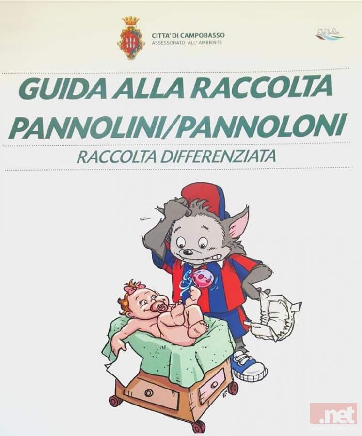 Campobasso, dal 30 gennaio riorganizzazione e potenziamento della raccolta differenziata  dei pannolini